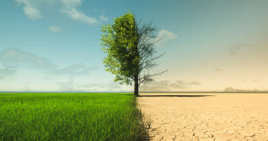 Клімат у світі стає все більш непередбачуваним